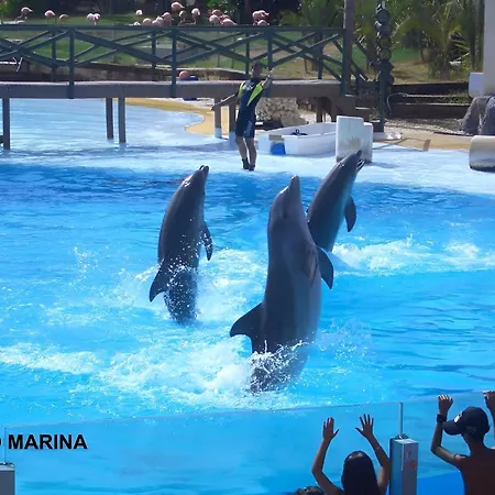 Luxury Minerva Benalmadena